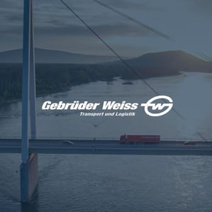 velux | case study image