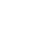 pp icon white